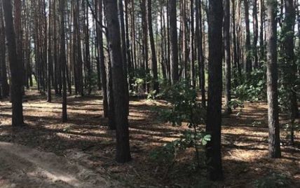 В лесу на Киевщине обнаружено тело расстрелянного оккупантами украинца — Бучанский горсовет
