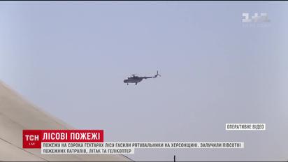 На Херсонщине выгорело более 40 гектаров соснового леса