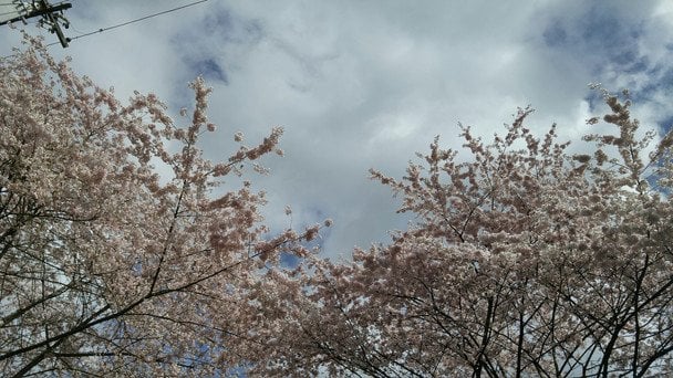 Народні прикмети 14 квітня / © unsplash.com
