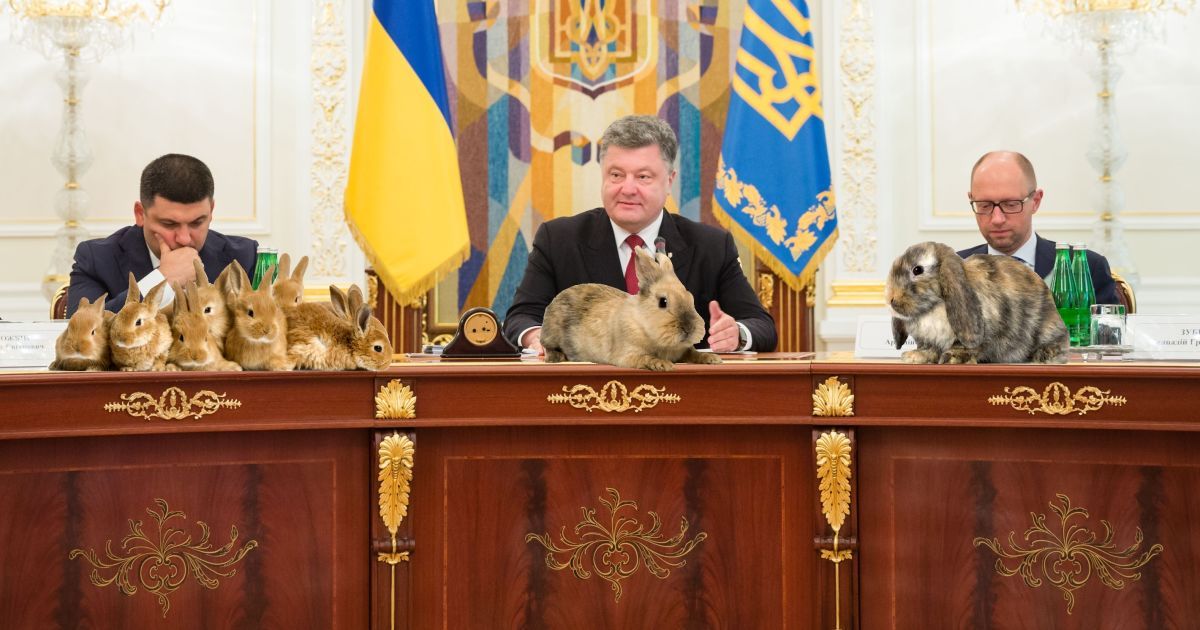 Как власть премьера выбирает. Объясняем на кроликах