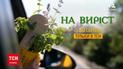 ТСН покаже спецпроєкт "На виріст"