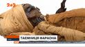 Египетским ученым удалось выяснить, от чего на самом деле умер фараон Секененра ТАА ll