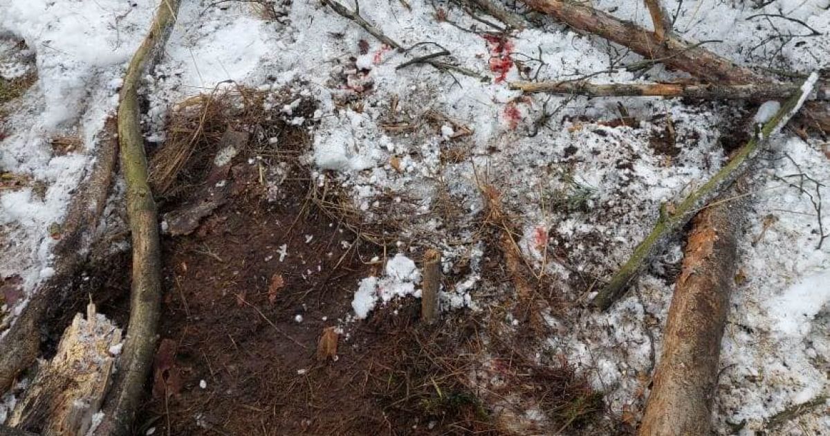Біля кордону з Білоруссю вибухнула російська міна: що відомо