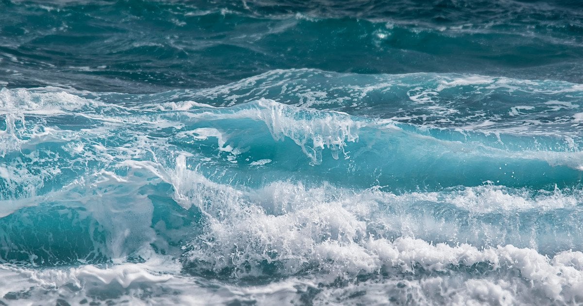 Вчені зафільмували унікальну істоту в Атлантиці