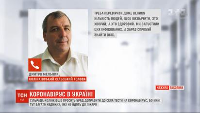 Сельсовет Колинковцев просит правительство доставить в село тесты на коронавирус