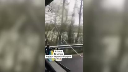 Уздовж Тиси встановили колючий дріт (відео)