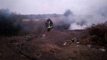 На Київщині сталася пожежа на стихійному сміттєзвалищі / © ДСНС України у Київській області