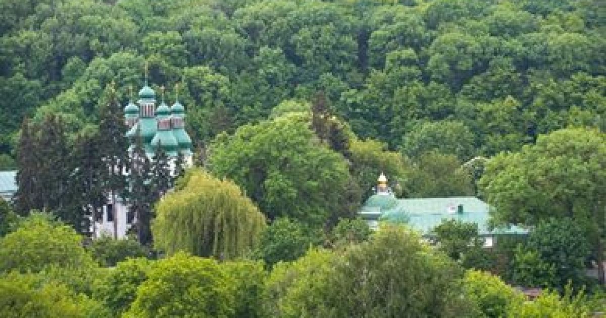 Голова ГО «Спадщина Китаєва» Сергій Корженевський