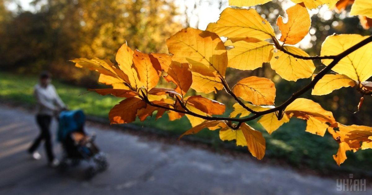 В Украине продолжается "бабье лето". Прогноз погоды на 9-13 октября
