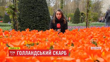 Голландський скарб: як нідерландці збудували квіткову імперію