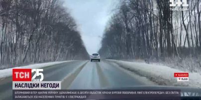 Во Львовской области женщина получила травмы во время непогоды | Новости Украины