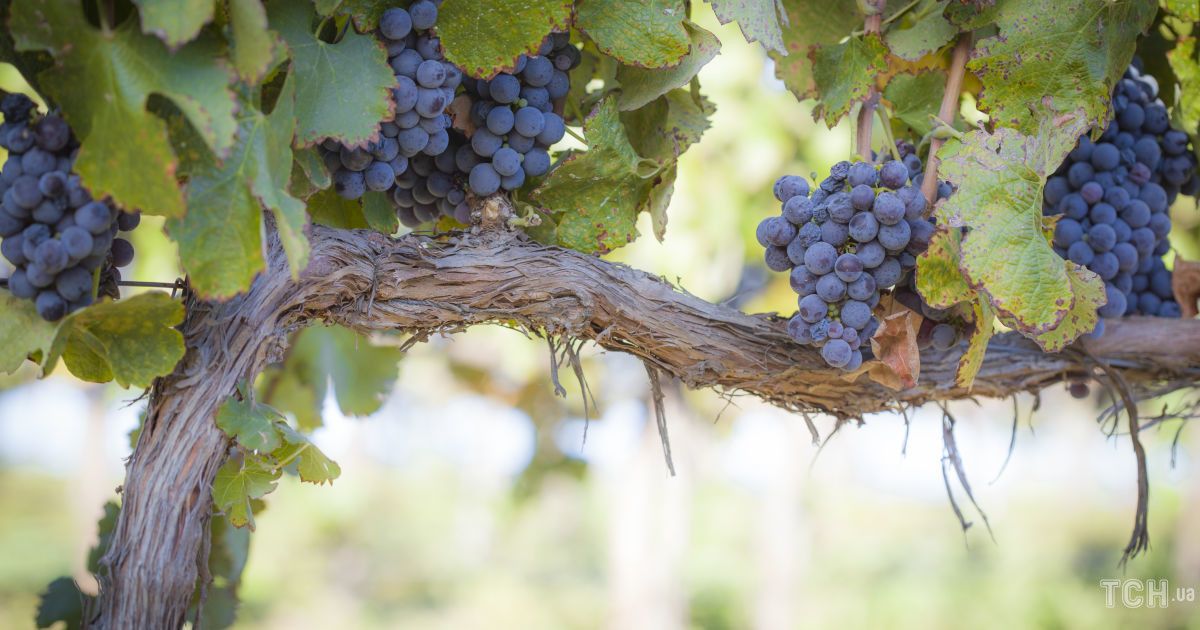 Астрологічний прогноз на 6 лютого