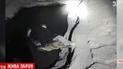 В России следователи во время обыска в подозрительном подвале вместо оружия наткнулись на крокодила