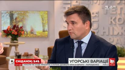 Клімкін прокоментував видачу угорських паспортів українцям