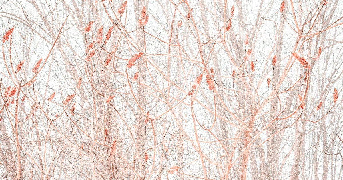 Какой сегодня, 20 февраля, день ангела