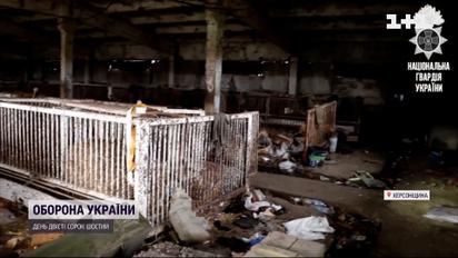 Життя у свинарнику і катівні в школі: що робили окупанти в селі на Херсонщині
