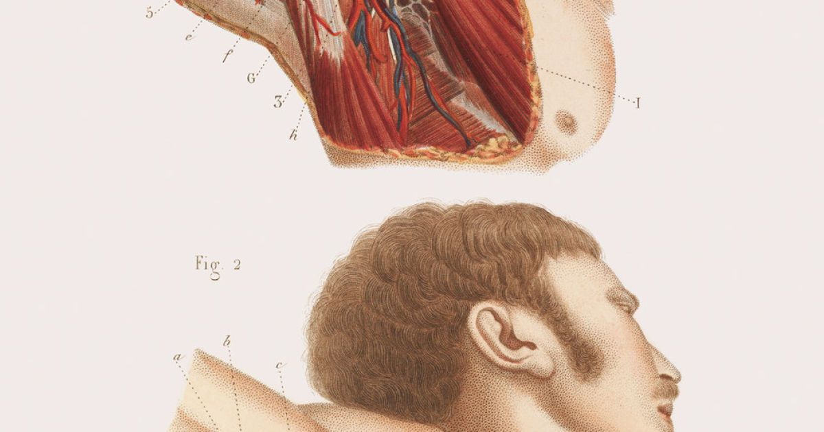 Хірургія 19-го століття. / © thamesandhudson.com