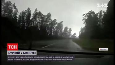Новости мира: Беларусью пронесся ураган