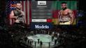 UFC 220. Стипе Миочич - Франсис Нганну. Видео чемпионоського боя