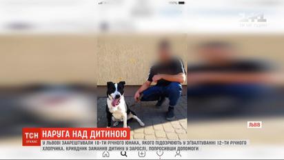 У Львові заарештували юнака, якого підозрюють у зґвалтуванні 12-річного хлопчика