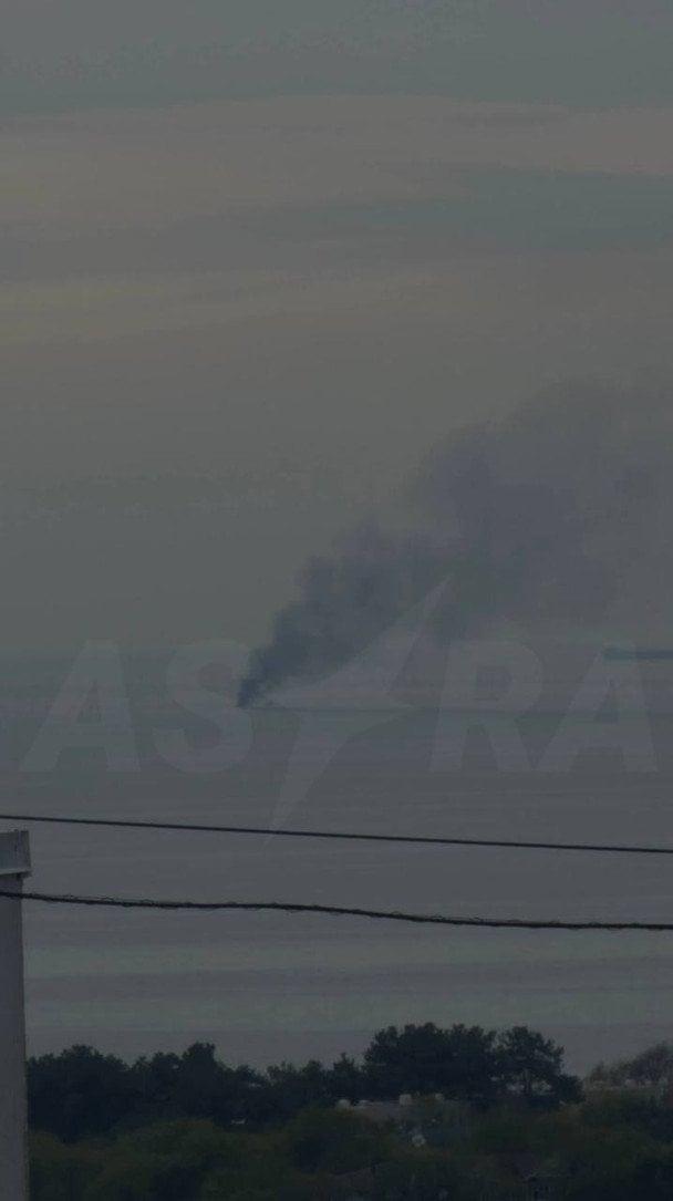 У РФ біля Геленджика за 17 км від палацу Путіна спалахнула пожежа  / © ASTRA
