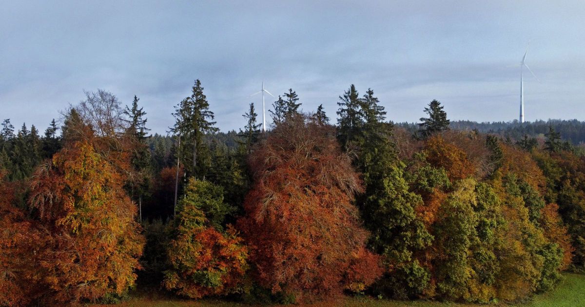 Листопад почнеться прохолодою