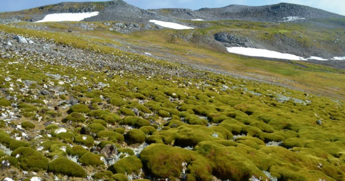 Наслідки / Nature Geoscience