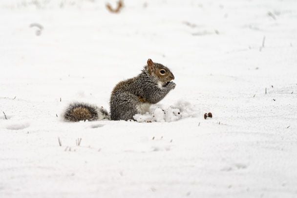 Грудень в Україні очікується без суворих морозів / © Associated Press