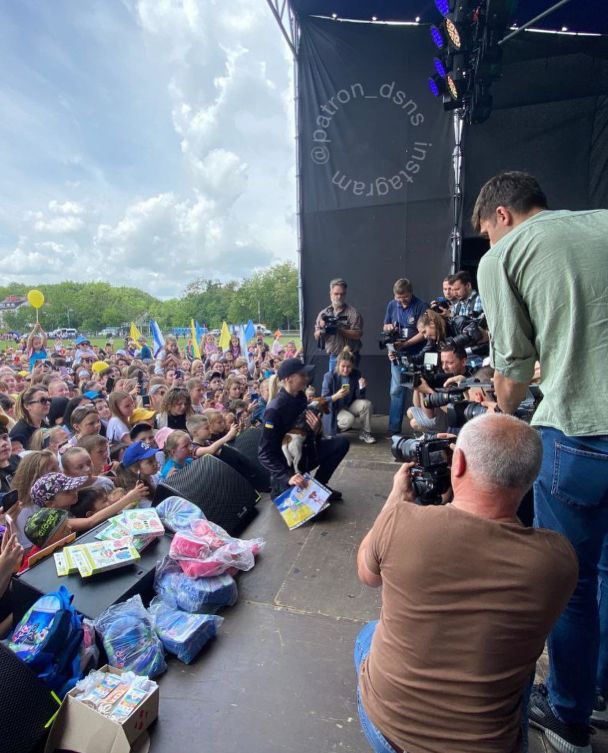 Пес Патрон / © Instagram пса Патрона