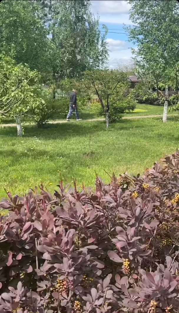 Алан Бадоев с папой / © instagram.com/alanbadoev