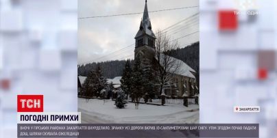 Погода в Україні: на Закарпатті нічний снігопад змінив дощ