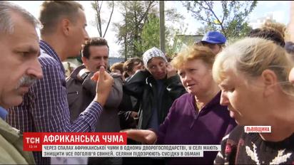 На Львовщине жители села поссорились из-за свиной чумы