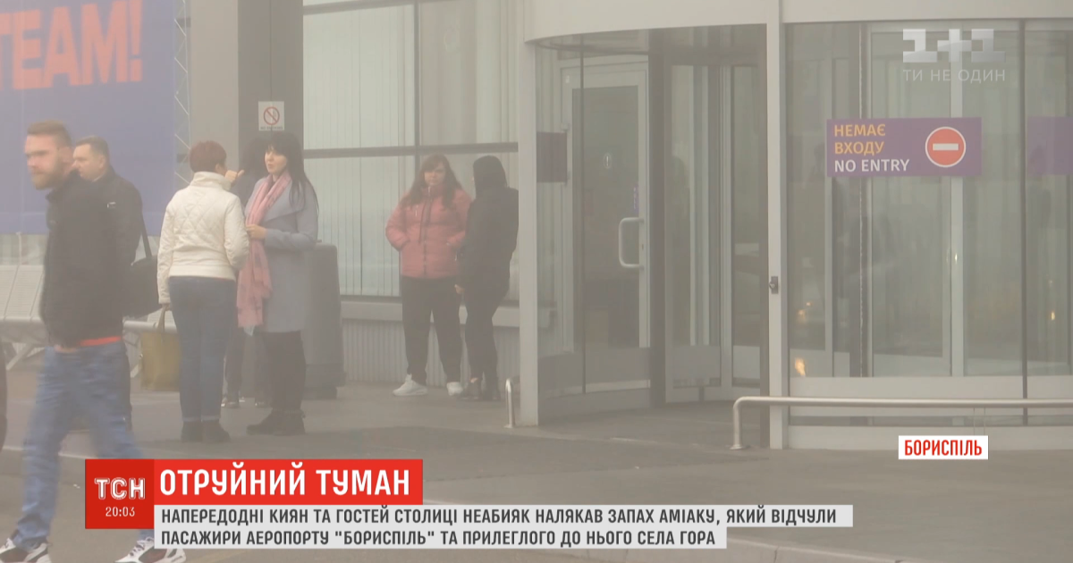 Запах аммиака, который парализовал "Борисполь" попал в аэропорту с поля. Его обрабатывали аграрии