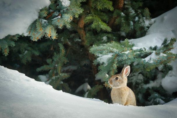 Народные приметы 28 февраля / © pixabay.com