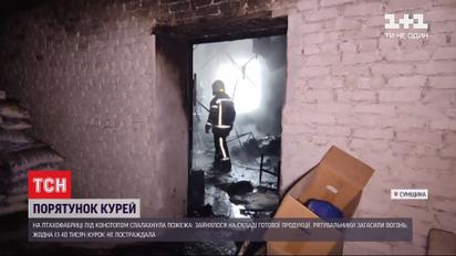 Порятунок курей: надзвичайникам вдалося загасити пожежу на птахофабриці під Конотопом