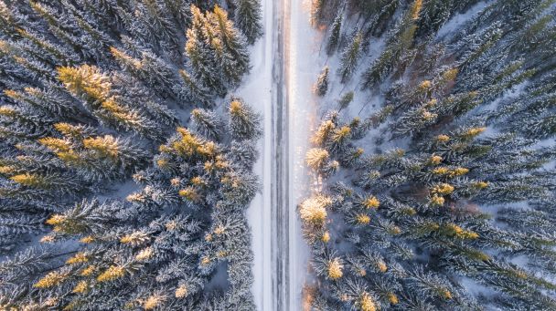 Какой праздник 6 декабря / © Pexels