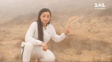 "Мій путівник. ОАЕ" — пустеля Аль-Ваді та стародавній форд Дая