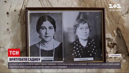 Новини України: в селі Харківської області занепадає старовинна садиба родини Синякових