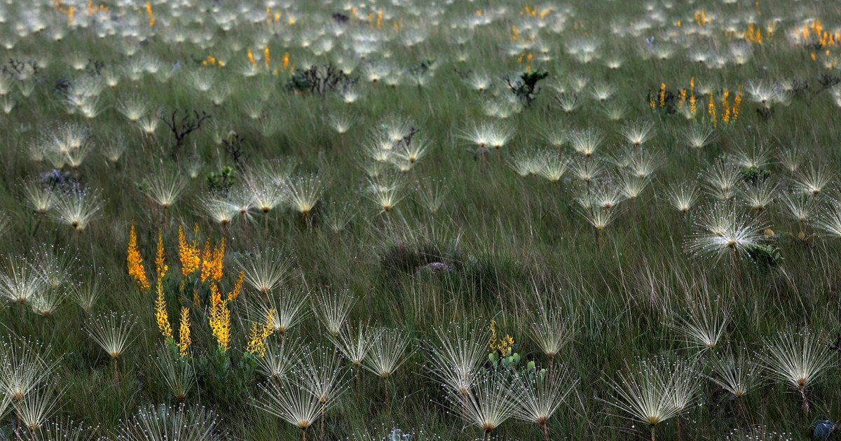 Весенний пейзаж