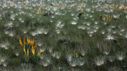 Весняний пейзаж