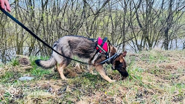 На Рівненщині другу добу шукають зниклого хлопчика / © ДСНС України