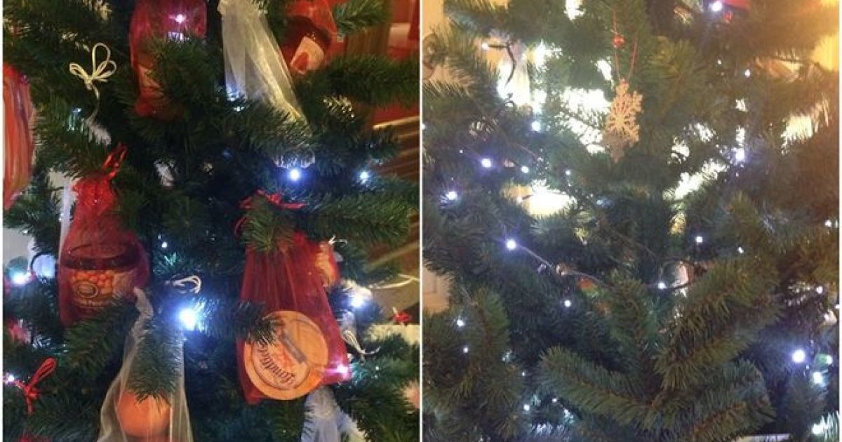Відвідувачі зірвали з дерева продукти