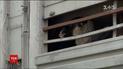 Зоозахисники на Одещині намагаються врятувати замурованих у фурі овець