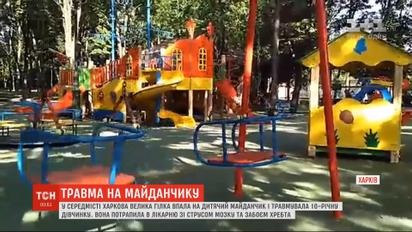 У центрі Харкова величезна гілка відламалася від дерева і травмувала 10-річну дівчинку