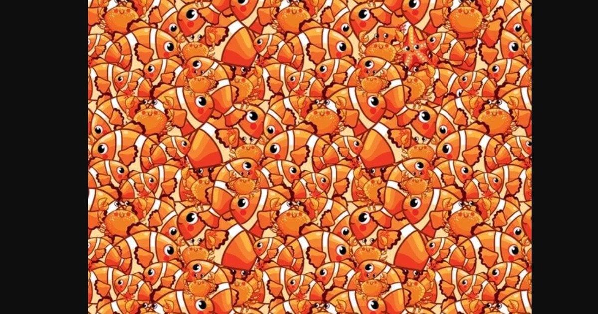 Головоломка// джерело: jagranjosh.com