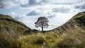 Sycamore Gap