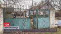 Зверски пытают и даже убивают: грабители нападают на дома бывших узников гетто и концлагерей