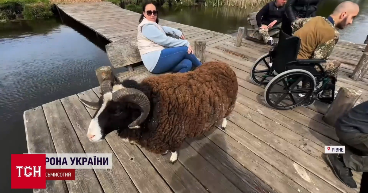 "Оствиця"