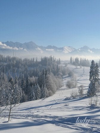 Зимовий пейзаж