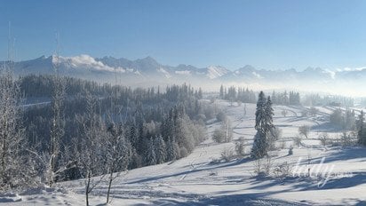 Зимовий пейзаж